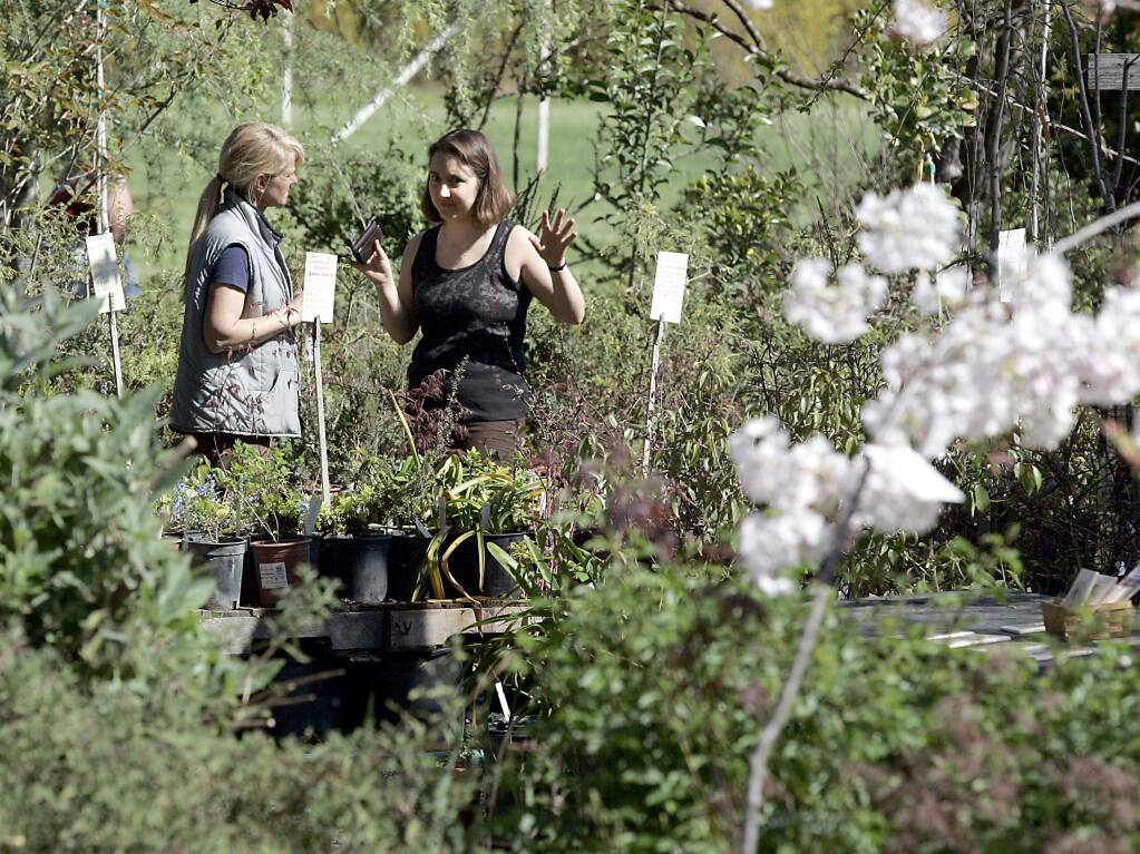 Misty Fiddler, left, Garden Coordinator for the Willowside Middle School garden, talks plants with Erin Moore of Santa Rosa at Willowside Middle School's plant sale in 2009. You can stock up on plants for your garden on May 15 at the nursery. (Scott Manchester / For The Press Democrat)