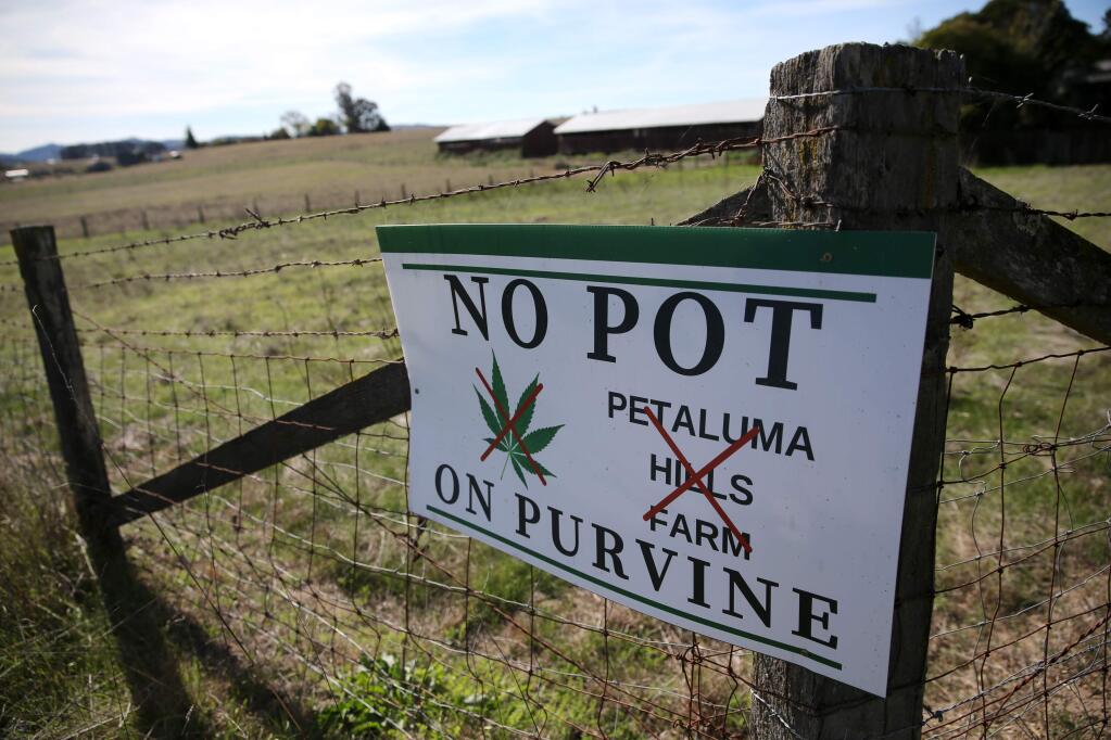 A sign along Purvine Road voices opposition to marijuana being grown at Petaluma Hills Farm in Petaluma, Ca. Photo taken on Thursday, November 1, 2018 in Petaluma, California . (BETH SCHLANKER/The Press Democrat)