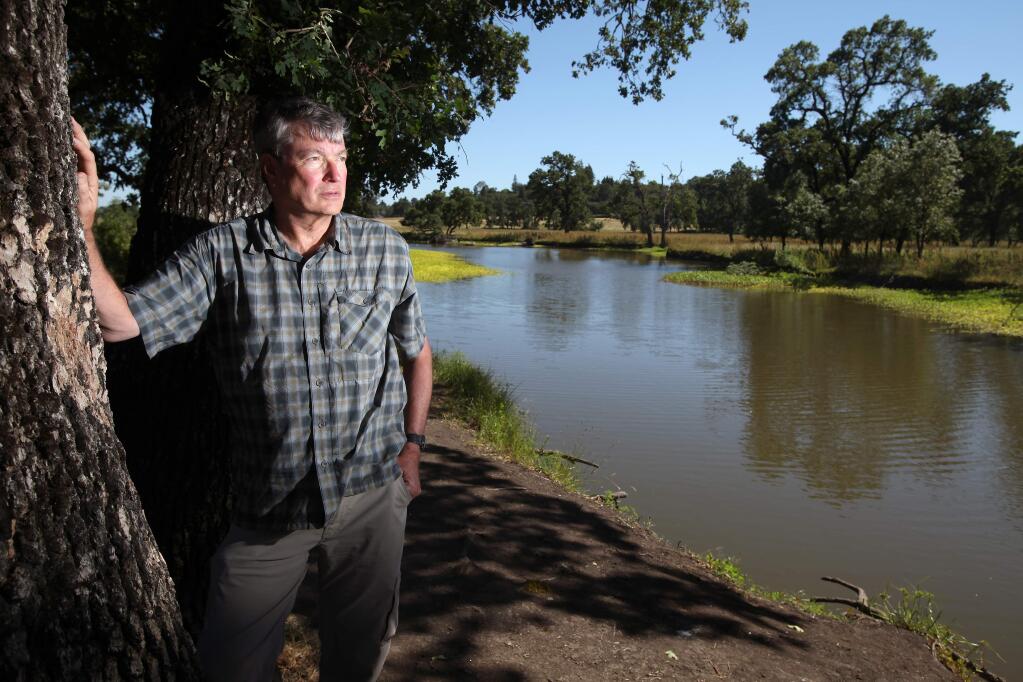 5/30/2013: A9:PC: David Bannister, executive director of the Laguna de Santa Rosa Foundation, on the banks of the Laguna de Santa Rosa, where high levels of mercury have been found in the fish. (Christopher Chung/ The Press Democrat)