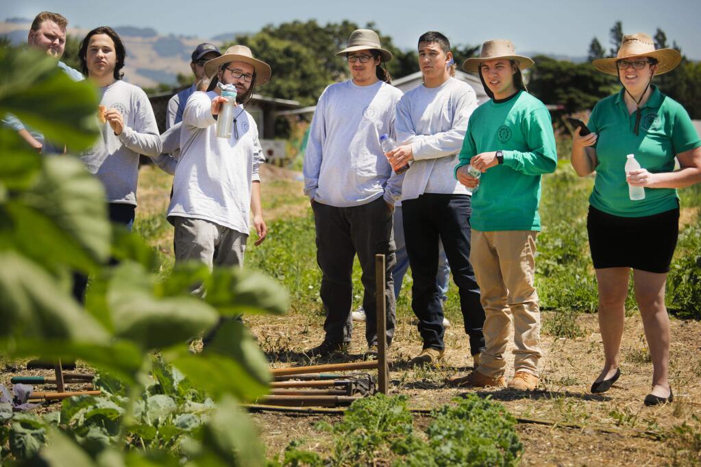 The Sonoma County Youth Ecology Corps provides summer work and learning opportunities across the county. (CRISSY PASCUAL/ARGUS-COURIER STAFF)