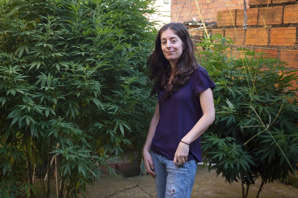 This Oct. 19, 2017 photo provided by Michelle Janikian shows herself doing research among a stand of marijuana plants in Medellin, Colombia, where she said anyone can cultivate up to 20 plants at home, and the legal medical market is booming. Janikian, who writes about marijuana for publications like Herb, Playboy and Rolling Stone, says after she tells someone what she does for a living she usually spends the rest of the conversation 'trying to act so friendly and mainstream' so they don't think she's stoned. (Michelle Janikian via AP)