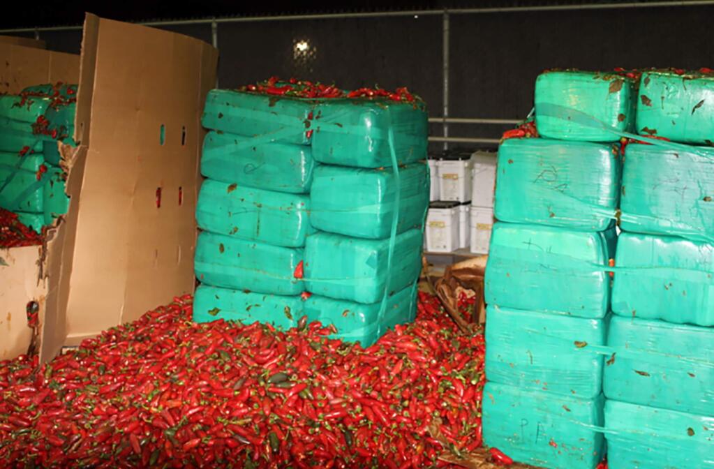 This Thursday, Aug 15, 2019, photo released by the U.S. Customs and Border Protection shows marijuana mixed in with a shipment of jalapeno peppers seized by CBP officers in San Diego's Otay Mesa, Calif. Officials say they seized $2.3 million worth of marijuana at the Southern California port. (U.S. Customs and Border Protection via AP)