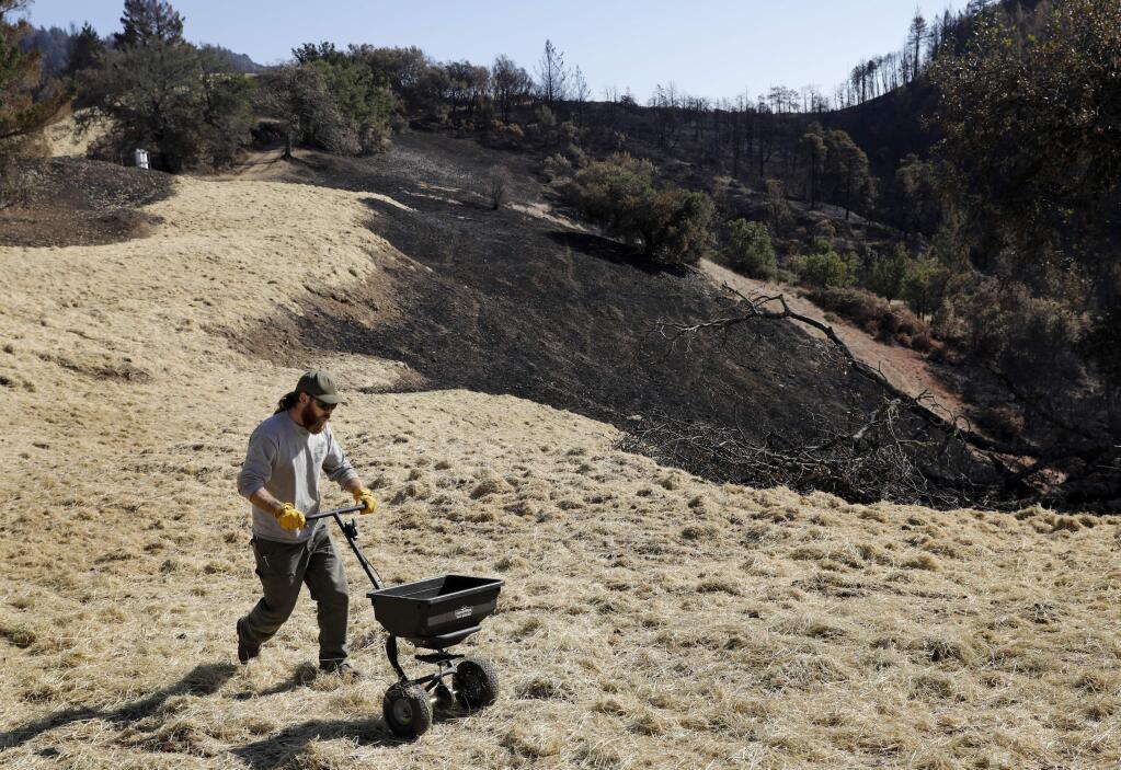 NOW: Sonoma County Parks maintenance worker Trevor Thompson spreads fescue and wildflower seeds over freshly laid straw in an effort to combat erosion on a hillside disturbed by bulldozers at Hood Mountain Regional Park in Kenwood, on Wednesday, November 1, 2017. (BETH SCHLANKER/ The Press Democrat)