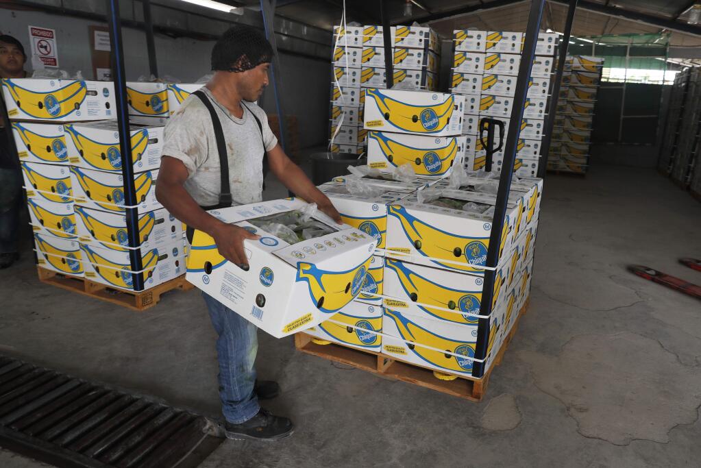 FILE - In this May 31, 2019 file photo, =a worker stacks a box of freshly harvested Chiquita bananas to be exported, at a farm in Ciudad Hidalgo, Chiapas state, Mexico. President Donald Trump plans to impose 5% tariffs on Mexican imports starting June 10 and to ratchet them up to 25% by Oct. 1 if the Mexicans don't do more to stop the surge of Central American migrants across the southern U.S. border. (AP Photo/Marco Ugarte, File)