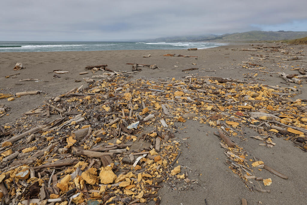 Pieces of foam debris from the Aleutian Storm wreckage litter Salmon Creek State Beach near Bodega Bay, Monday, March 18, 2024.  (Christopher Chung / The Press Democrat)