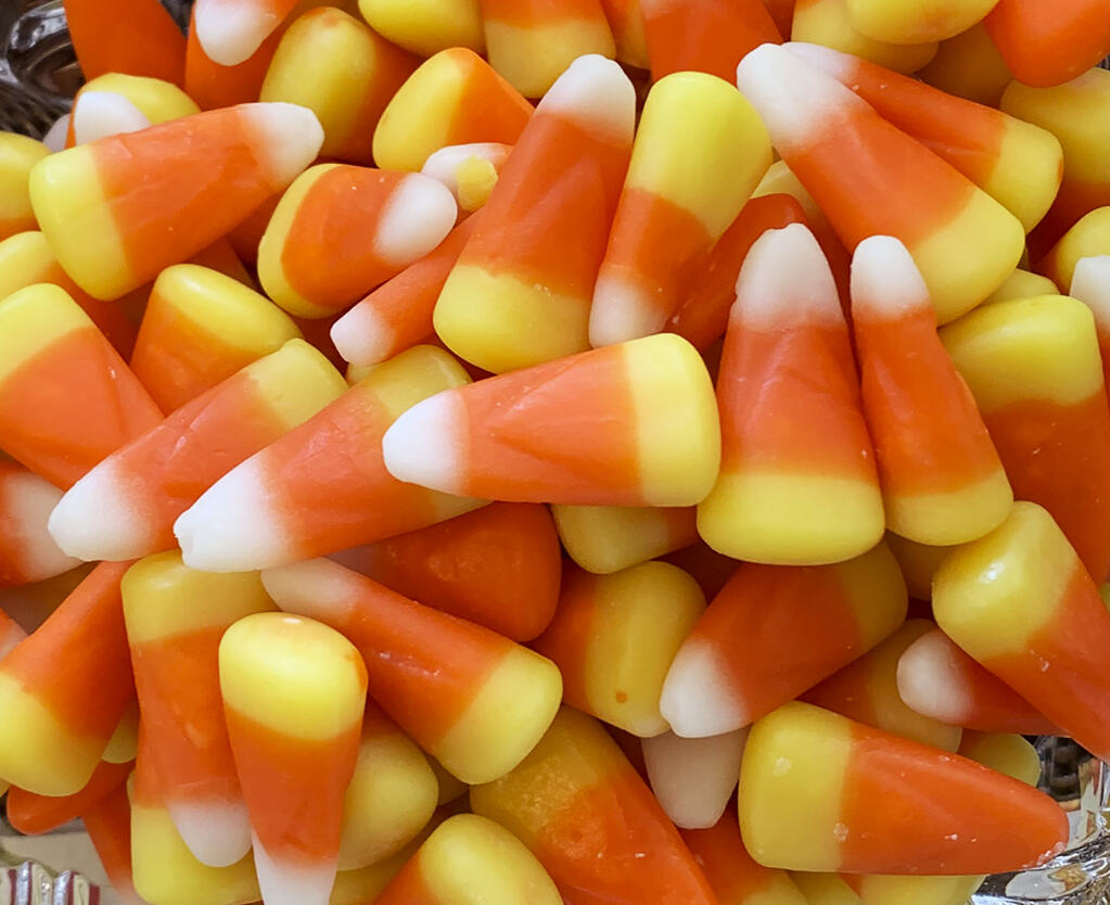This image shows a pile of candy corn in Westchester County, N.Y. on Oct. 23, 2023. Cruel joke for trick-or-treaters or coveted seasonal delight? The great Halloween debate over candy corn is on. (AP Photo/Julia Rubin)