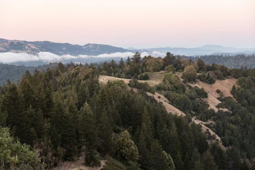 Mailliard Ranch in Mendocino County. (Save the Redwoods League)