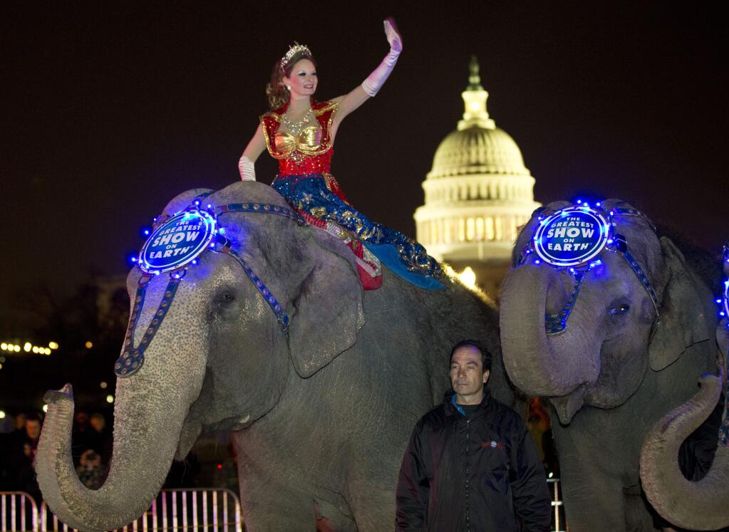 FILE - In this March 19, 2013 file photo, a performer waves as elephants with the Ringling Bros. and Barnum & Bailey show, pause for a photo opportunity in front of the Capitol in Washington, on their way to the Verizon Center, to promote the show coming to town. The Ringling Bros. and Barnum & Bailey Circus will phase out the show's iconic elephants from its performances by 2018, telling The Associated Press. exclusively that growing public concern about how the animals are treated led to the decision. (AP Photo/Alex Brandon, File)