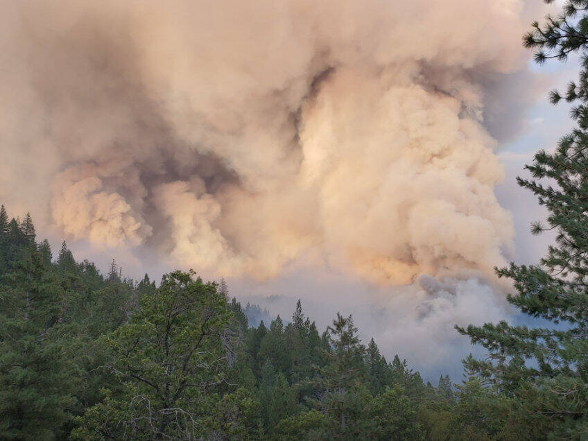 August Complex fire - Rockwell burns Aug. 18, 2020. Photo posted to the U.S. Forest Service - Mendocino National Forest’s Facebook page on Aug. 28, 2020.  (Roy Jones)