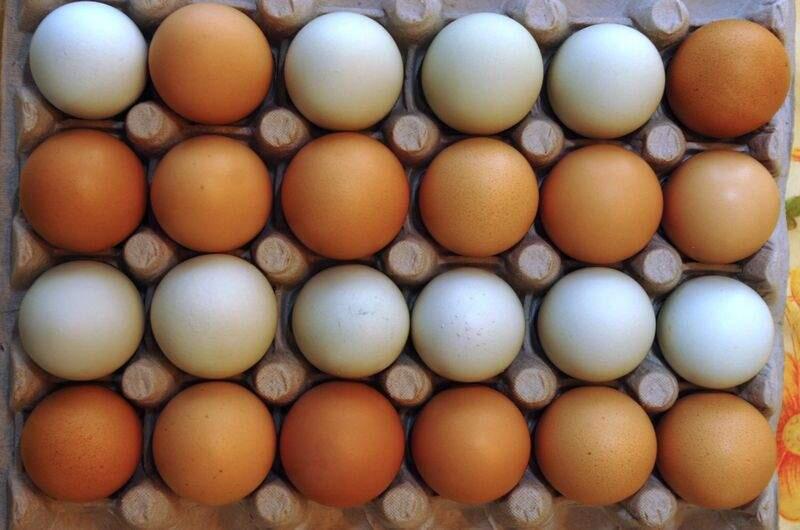 Eggs at a farm market in Pound Ridge, N.Y., March 20, 2007. (Alan Zale/The New York Times)