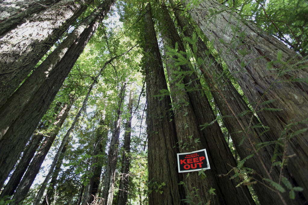 No trespassing signs are posted on a giant redwood trees in the woods around Bohemian Grove. (MONICA ALMEIDA / New York Times, 2010)