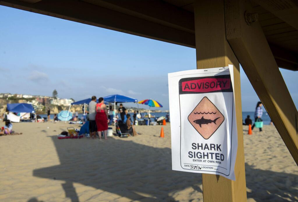 A possible shark sighting at Corona del Mar State Beach closes the shoreline on Sunday, May 29, 2016. Lifeguards shut down the beach on Sunday after a swimmer was pulled injured from the water with bite marks in a possible shark attack, authorities said. (Cindy Yamanaka/The Orange County Register via AP)