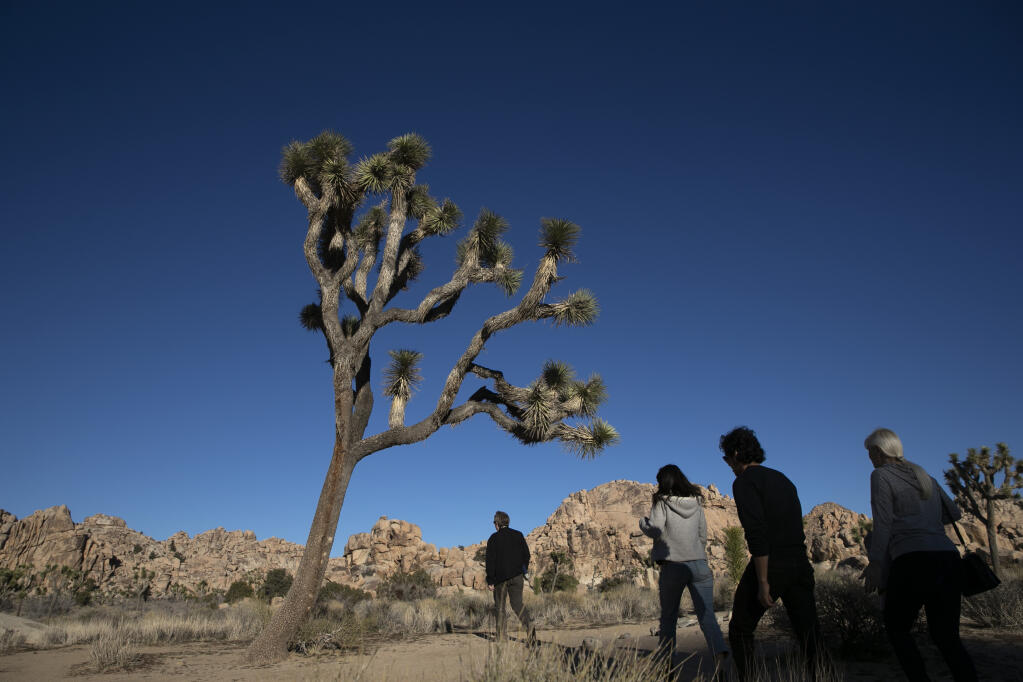 FILE - In this Jan. 10, 2019 photo, people visit Joshua Tree National Park in Southern California's Mojave Desert. (AP Photo/Jae C. Hong,File)