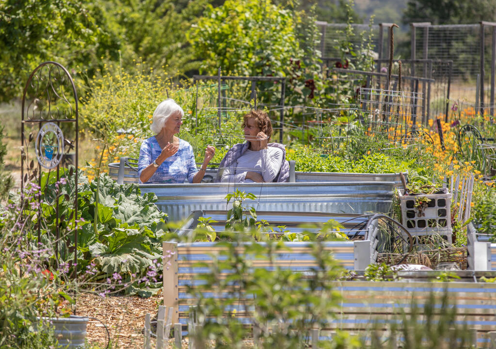 Sonoma Garden Park is working farm and education center. Along with crops, community garden plots, a native plant nursery, a labyrinth, and pathways leading to areas like the fig forest, children's garden, bee and butterfly gardens it is a natural hidden gem in Sonoma. Guests sit in the community garden section while visiting Thursday, June 8, 2023. (Chad Surmick / The Press Democrat)