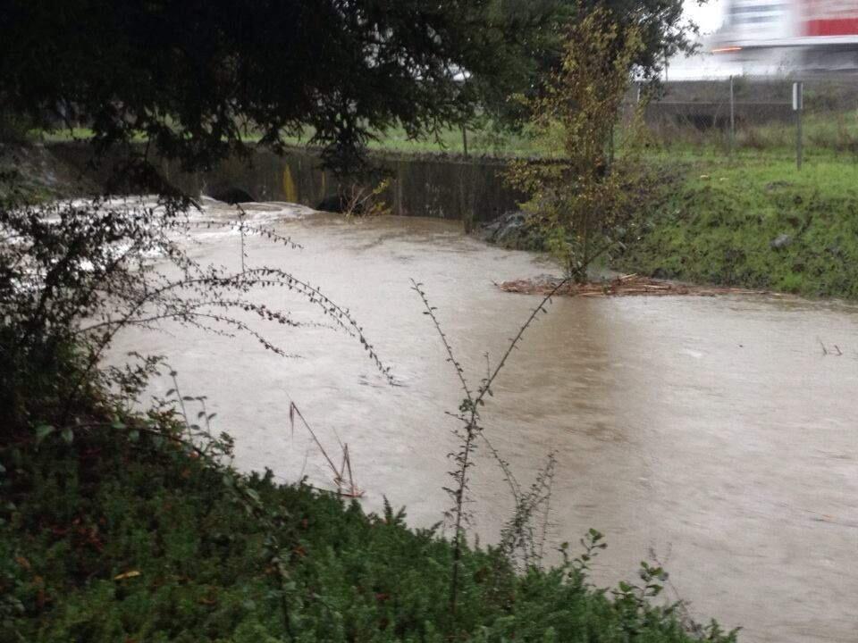 A creek next to Highway 101 off Southpoint Boulevard in Petaluma turned into a rushing river Thursday morning. (Yovanna Bieberich/Argus-Courier Staff)