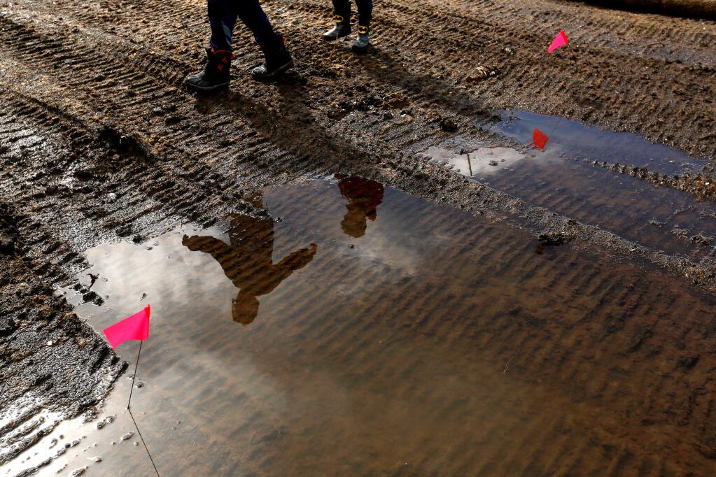 Jack Thompson, 9, right, and his brother Will, 5, walk around a large puddle at the cleared lot where their home stood before it burned in the Tubbs fire, in the Mark West Estates neighborhood of Santa Rosa, California, on Friday, March 16, 2018. (Alvin Jornada / The Press Democrat)