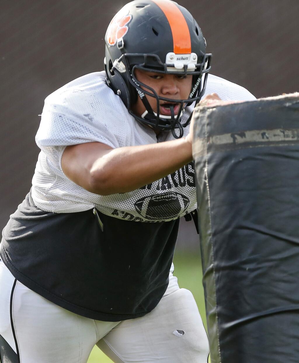 Santa Rosa High School offensive lineman PJ Toleafoa hits the sled during football practice in Santa Rosa on Tuesday, Oct. 8, 2019. (Christopher Chung / The Press Democrat)