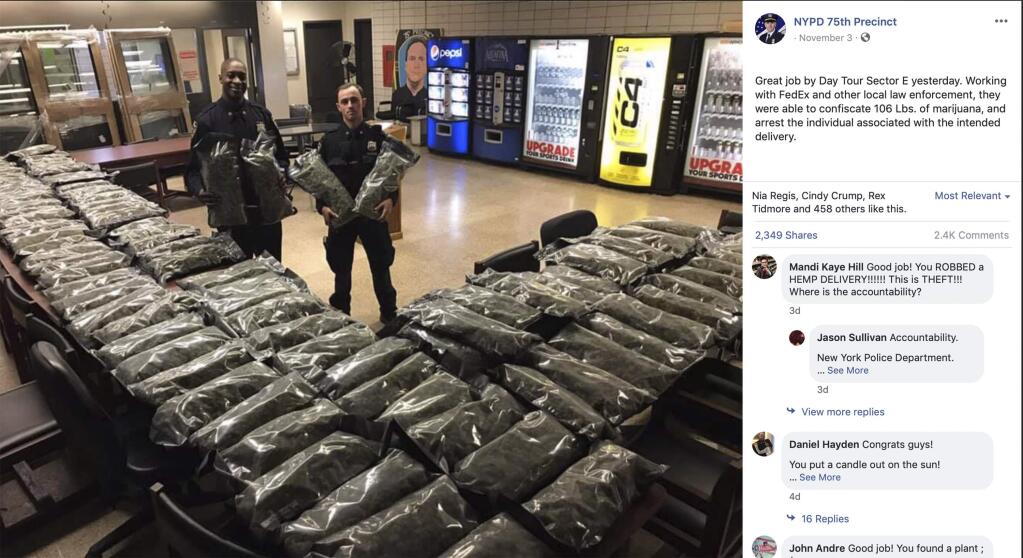 In this undated photo taken from the New York Police Department Facebook page, officers stand by what NYPD thought was marijuana when they confiscated in the Brooklyn borough of New York on Saturday, Nov. 2, 2019, at the 75th Precinct of the NYPD in New York. The Vermont farm that grew the plants and the Brooklyn CBD shop that ordered them insist they're not pot, but legal industrial hemp. (New York Police Department via AP)