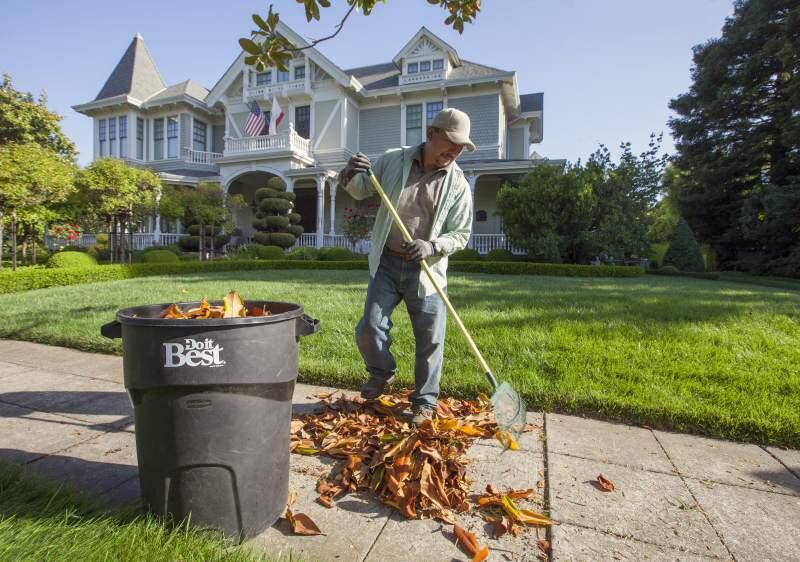 Landscaper Cristino Ortego gets some much-needed rake-practice in earlier this year. Sonoma voters have officially approved a ban on gas-powered leaf blowers by a total of 19 votes.