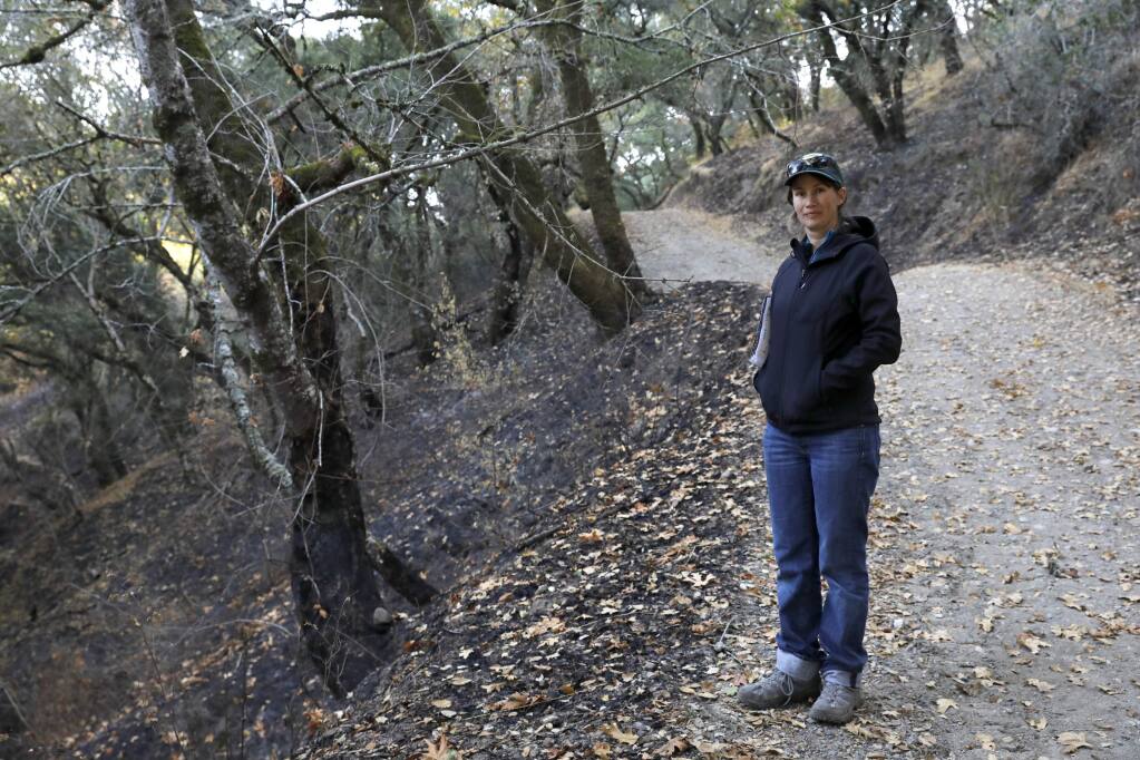 Hattie Brown, a natural resources coordinator with Sonoma County Regional Parks, stand along section of burned trail at Shiloh Ranch Regional Park in Windsor, on Wednesday, November 1, 2017. (BETH SCHLANKER/ The Press Democrat)