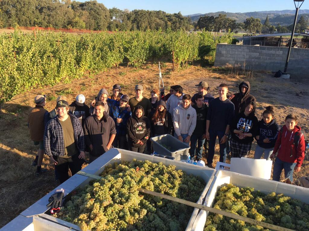 More than 40 SVHS students gathered before dawn to pick grapes.
