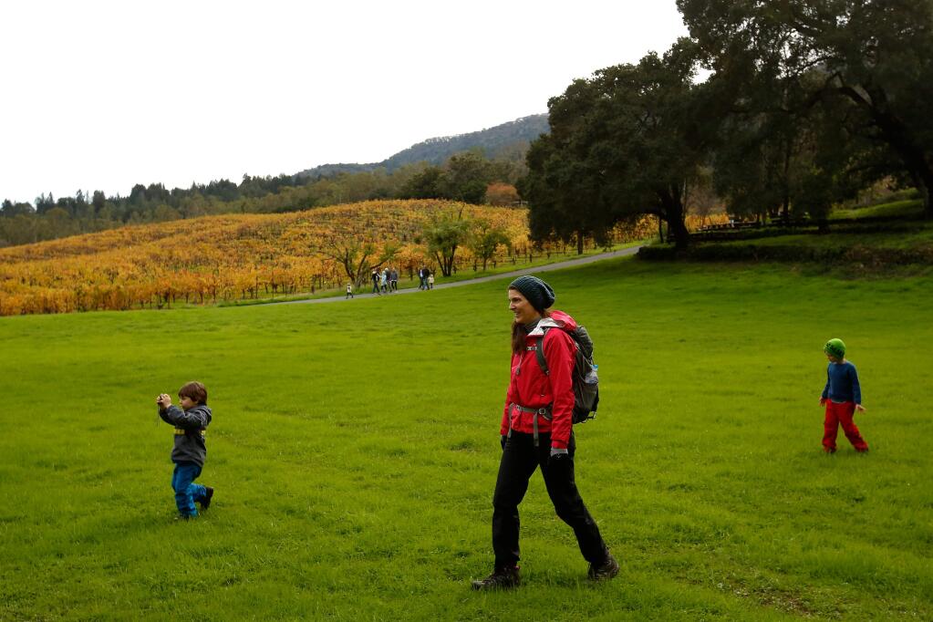Leon Kopp, 3, left, snaps photos while walking across the meadow with family friends Christina Marquis and Sean Marquis, 6, during Green Friday at Jack London State Historic Park in Glen Ellen, California on Friday, November 25, 2016. (Alvin Jornada / The Press Democrat)