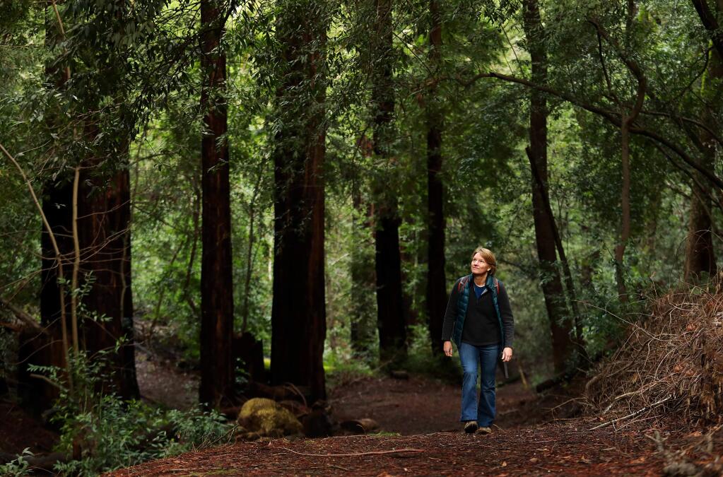 Healdsburg resident and retired biologist Kate Symonds walks along a trail on Fitch Mountain. Symonds, a member of the Fitch Mountain Association opposes plans for large gatherings at the top of the preserve. (John Burgess/The Press Democrat)
