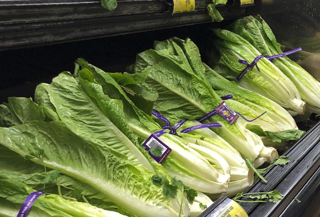 FILE - This Nov. 20, 2018 file photo shows romaine lettuce in Simi Valley, Calif. (AP Photo/Mark J. Terrill, File)
