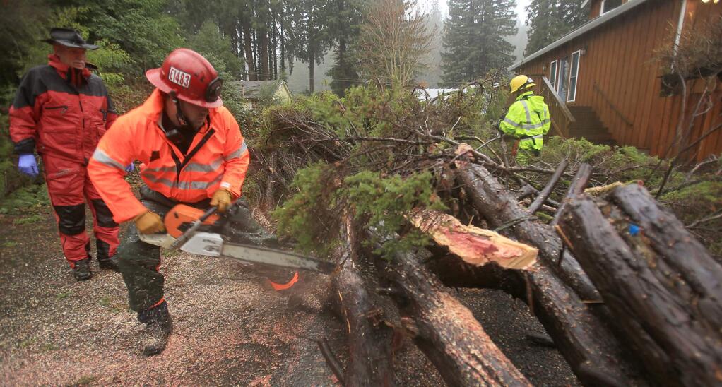 Cal Fire's Jason Novak, center, and Monte Rio fire chief Steve Baxman clear a tree that fell across Field Lane in Monte Rio, Monday, Dec. 21, 2015. (Kent Porter / Press Democrat)
