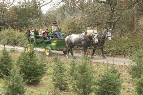 Over river, through woods: Holiday Along the Farm Trails is your place for a farm-centric season.