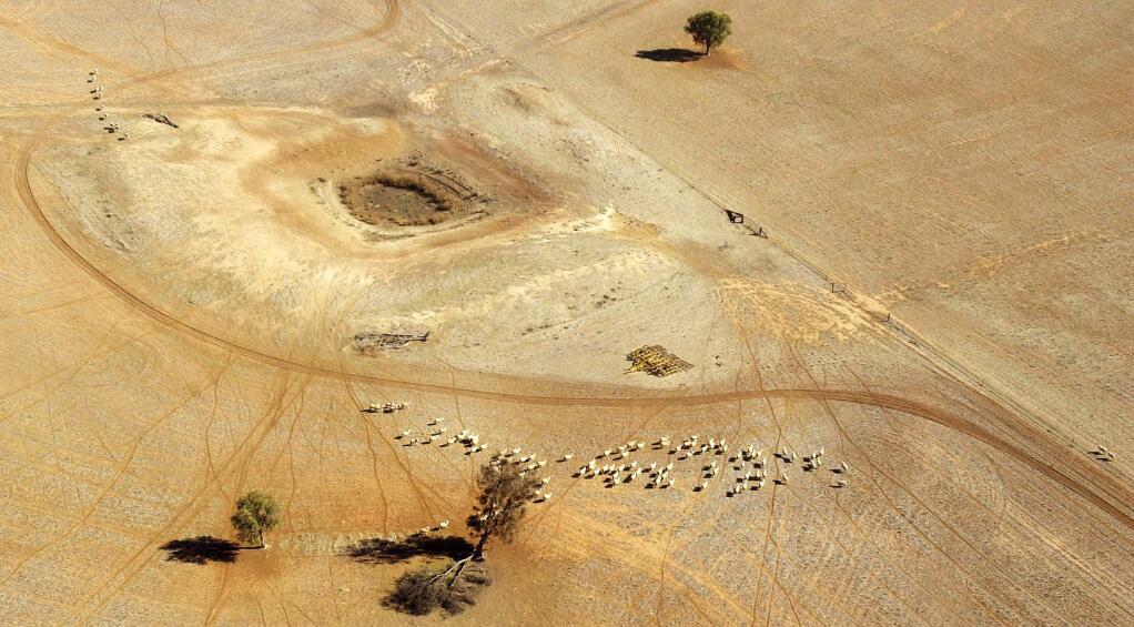 FILE - In this July 13, 2002, file photo, sheep wander parched land near a dry reservoir on a Condobolin property, 460 kilometers (285 miles) northwest of Sydney. On the world's driest inhabited continent, drought is a part of life, with the struggle to survive in a land short on water a constant thread in the country's history. The U.S. state of California is looking to Australia for advice on surviving its own drought. (AP Photo/Rick Rycroft, File)