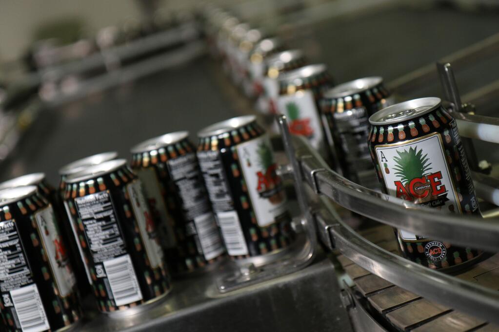 California Cider Co. gears up to put its fast-selling Ace pineapple craft cider in aluminum cans at its Sebastopol production plant on Tuesday, Sept. 3, 2019. (Jeff Quackenbush / North Bay Business Journal)