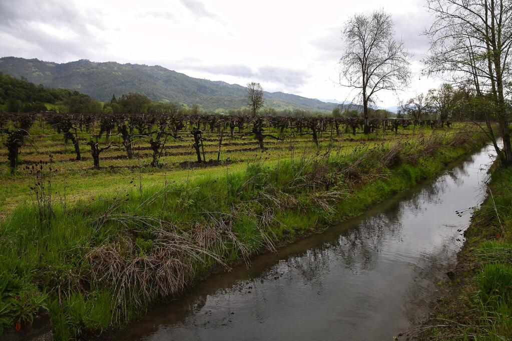 Water travels past a vineyard along the East Canal downstream from the Potter Valley Powerhouse, in Potter Valley on Thursday, April 6, 2017. (Christopher Chung/ The Press Democrat)