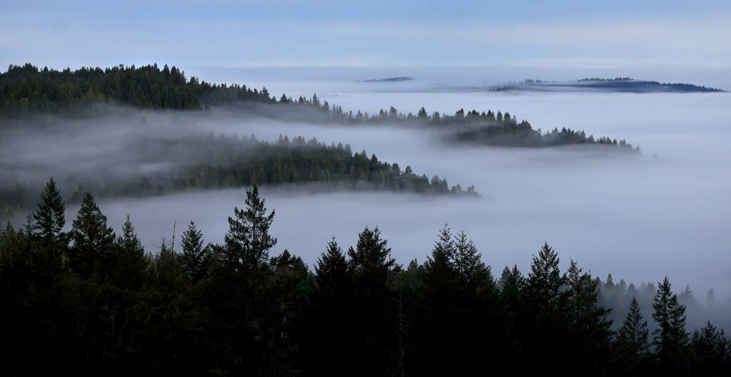 Fog shrouds the watershed of the nearly 50,000-acre Jackson Demonstration State Forest, Tuesday, March 2, 2022, in Mendocino County. (Kent Porter / The Press Democrat)