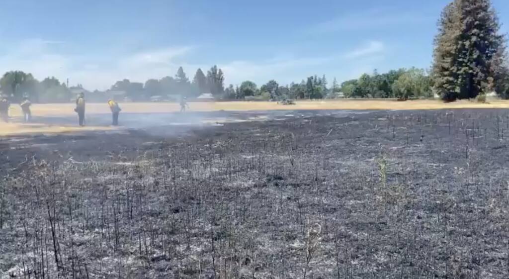Santa Rosa firefighters responded to a vegetation fire in the 1600 block of Burbank Avenue on Wednesday, June 16, 2021. (Santa Rosa Fire)