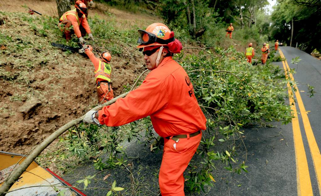 Delta Crew 5 state Inmate firefighter David Hernandez feeds a bay tree branch in to a wood chipper as the crew helps with fire prevention on Bennett Valley Road, Wednesday July 17, 2014 . (Kent Porter / Press Democrat) 2014