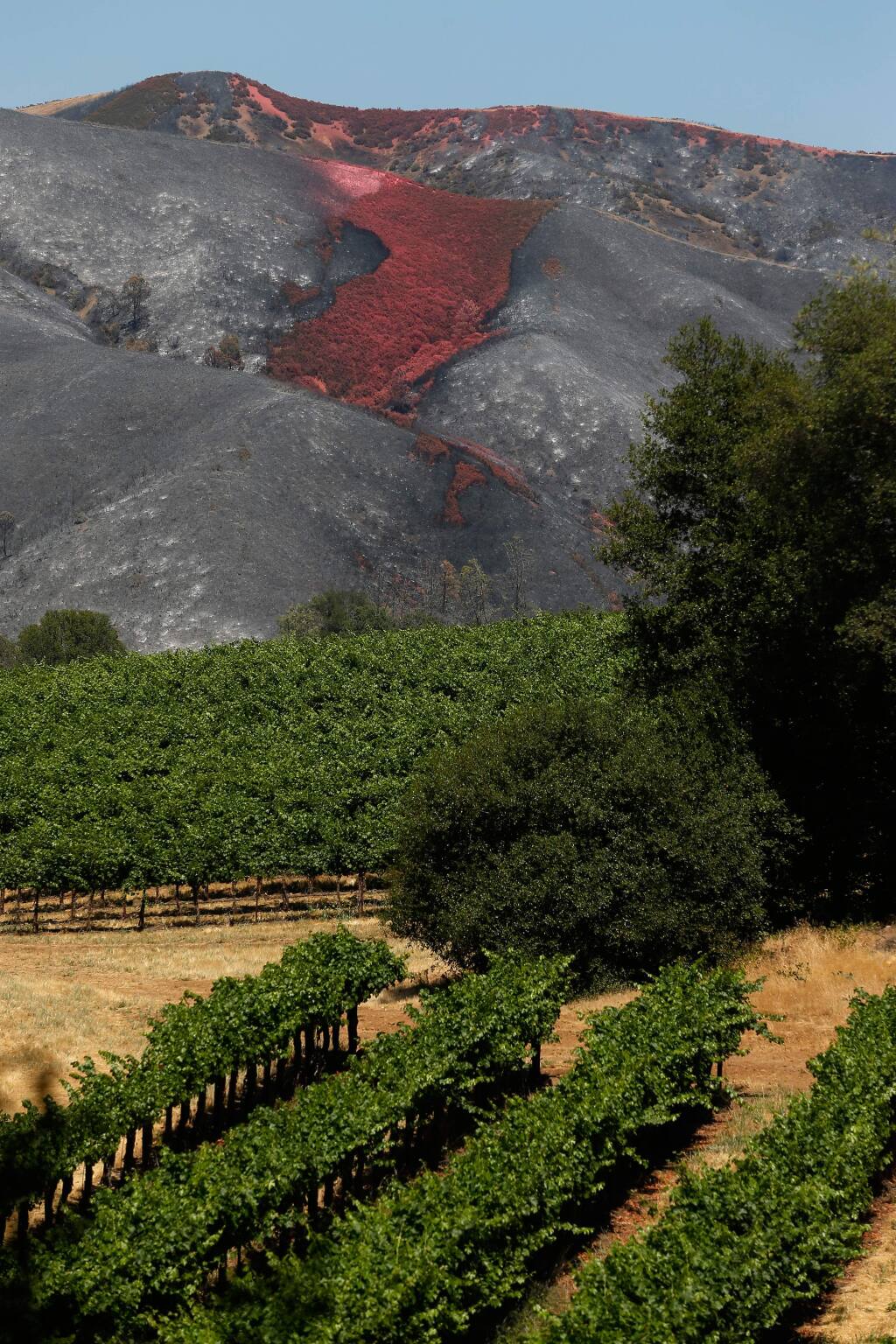 A red layer of Phos-Chek fire retardant is seen covering part of a burned hillside near Clearlake Oaks, California, on Wednesday, June 27, 2018. (Alvin Jornada / The Press Democrat)