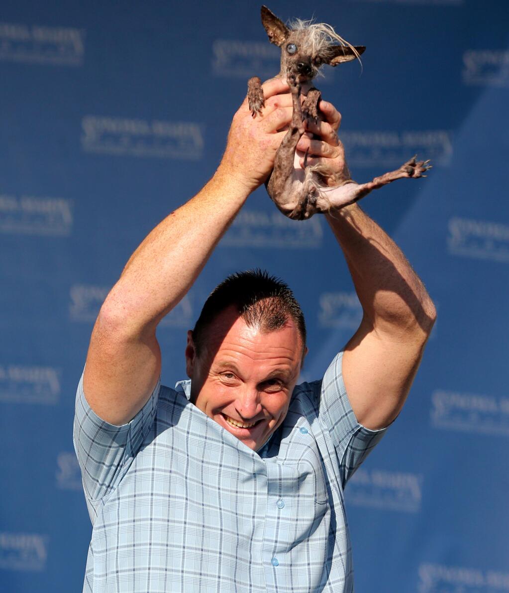 Second place winner Jason Wurtz holds up SweePee Rambo of Encino, California, during 'The World's Ugliest Dog Contest,' held at the Sonoma-Marin Fair in Petaluma Friday, June 26, 2015. The winner of this year's contest was 10-year-old pit/Dutch shepherd mix Quasi Modo from Loxahatchee, Florida, who was born with multiple birth defects to the spine. Second place went to SweePee Rambo, a Chinese Crested Chihuahua. (CRISTA JEREMIASON / The Press Democrat)