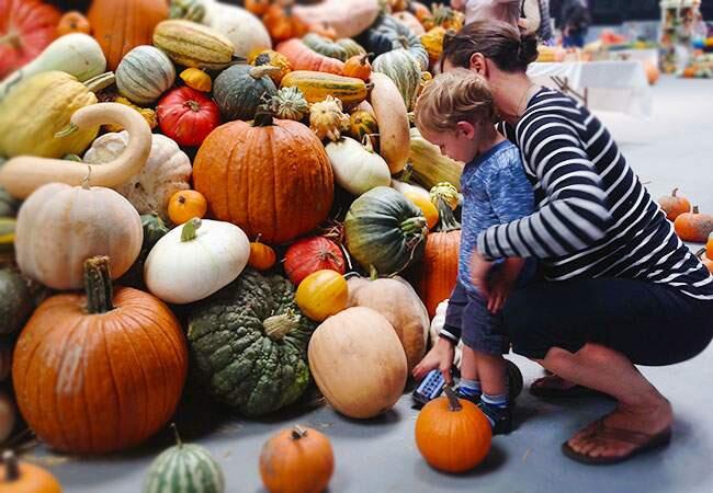 The Sonoma County Fairgrounds is hosting the National Heirloom Expo, the world's pure food fair, Sept 9-11. (HEATHER IRWIN / PD, Sept. 9, 2014)