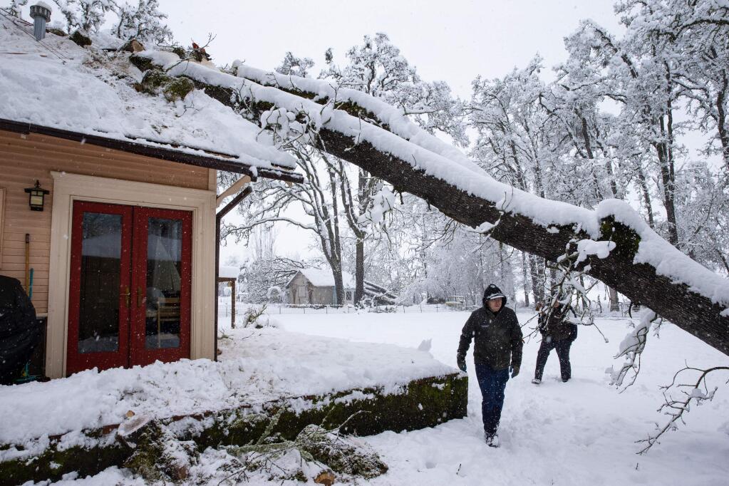 Bobby Roberts walks under tree that fell on a house on North 6th Street in Creswell, Ore., Monday, Feb. 25, 2019, after a heavy snow blanketed the Willamette Valley. He and a group of other volunteers were helping to remove the tree for the owner who was out of town when the storm hit. (Chris Pietsch/The Register-Guard via AP)