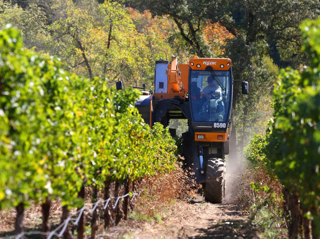 Juan Mesa drives a grape harvester along rows of cabernet sauvignon vines for Constellation Brands, in a vineyard along Chalk Hill Road, east of Healdsburg, in 2014. (CHRISTOPHER CHUNG/ PD FILE)