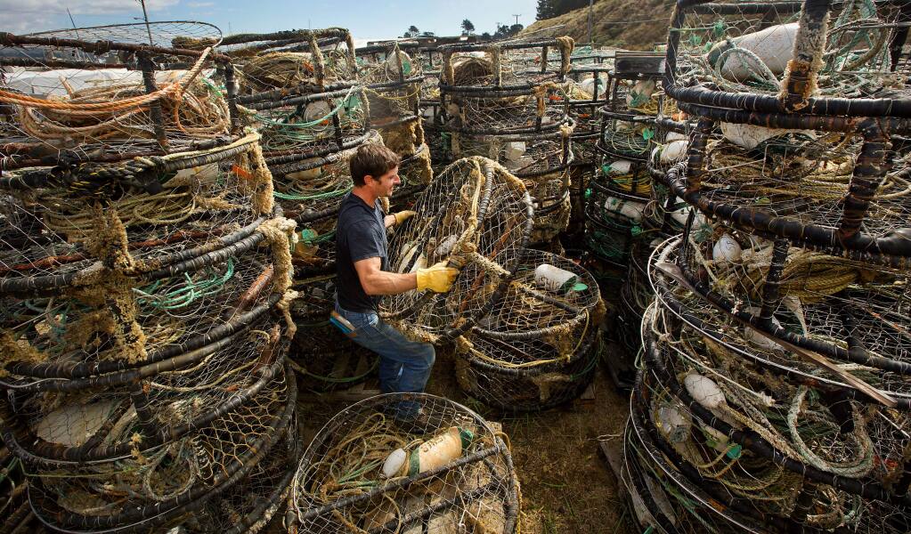 Jordan Brendel, a deckhand on the Smith Bros No. 2 boat, prepares one of 300 crab pots for the season at the Spud Point Marina in Bodega Bay on Tuesday. (John Burgess/The Press Democrat)