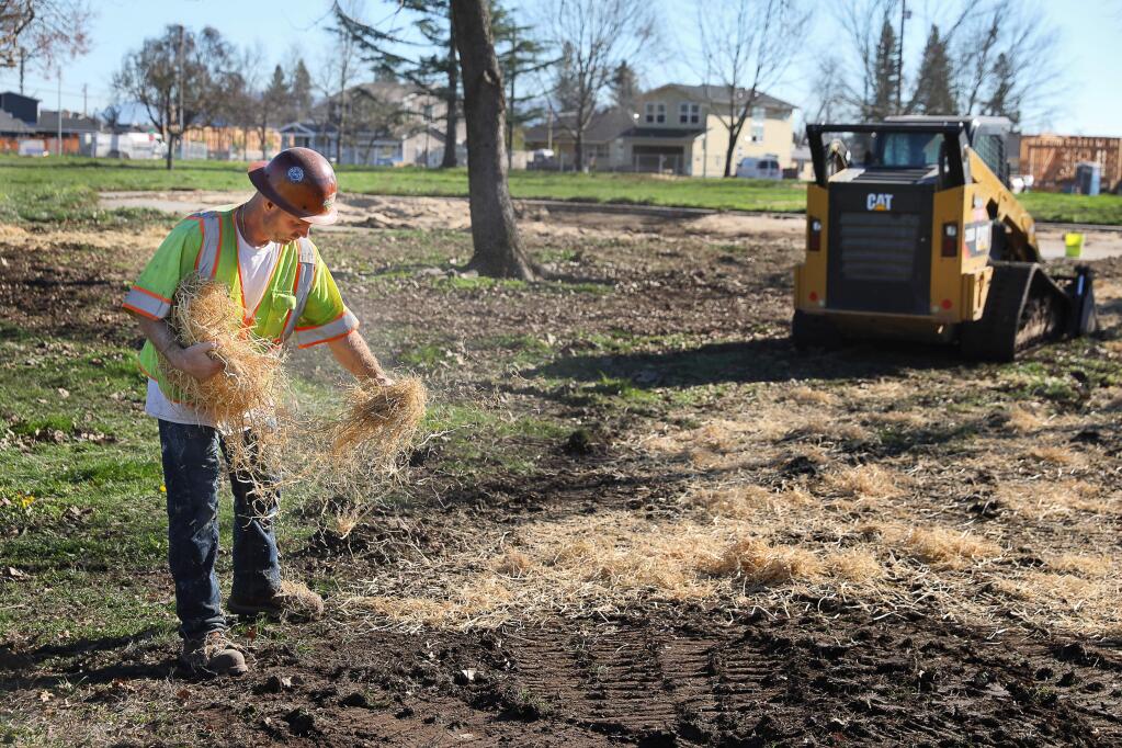 David Campbell spreads out straw for erosion control in Coffey Park, in Santa Rosa on Friday, January 25, 2019. (Christopher Chung/ The Press Democrat)