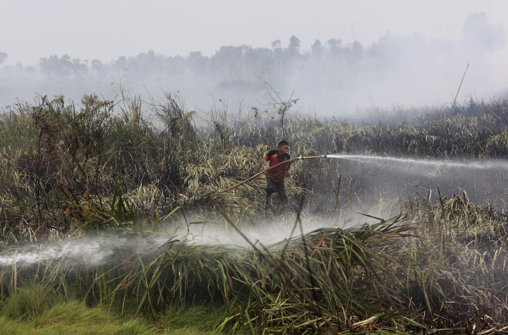 FILE - In this Thursday, Sept. 17, 2015 file photo a fireman sprays water to extinguish forest fire at a peatland field in Ogan Ilir, South Sumatra, Indonesia. Indonesia has strengthened its moratorium on converting peat swamps to plantations in a move a conservation research group says would prevent annual fires and substantially cut the country's carbon emissions if properly implemented. (AP Photo/Tatan Syuflana, File)