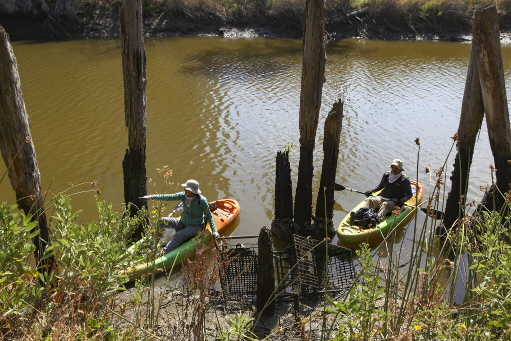 Volunteers kayak along the Petaluma River while picking up trash during a previous cleanup event organized by Friends of the Petaluma River. (CRISSY PASCUAL/ARGUS-COURIER STAFF)