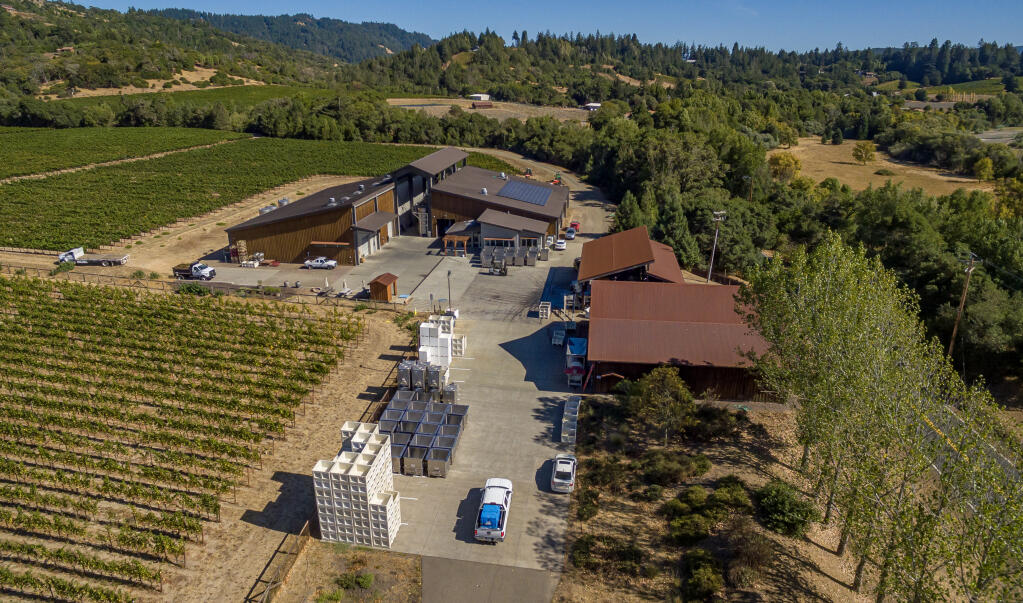 As pinot grapes make their way into the crush pad, Kristen McMahan, Goldeneye winemaker and her team sort and crush the morning’s delivery of fruit. Although their harvest season is just beginning, all signs point to a great year similar to 2019. Photo taken Thursday, Sept. 28, 2023. (Chad Surmick / The Press Democrat)