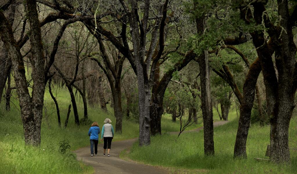 Cynara Martin and Diane Campagna take a stroll through the Nuns fire charred canopy at Sonoma Valley Regional Park in Glen Ellen, Tuesday, April 30, 2019. (Kent Porter / The Press Democrat) 2019