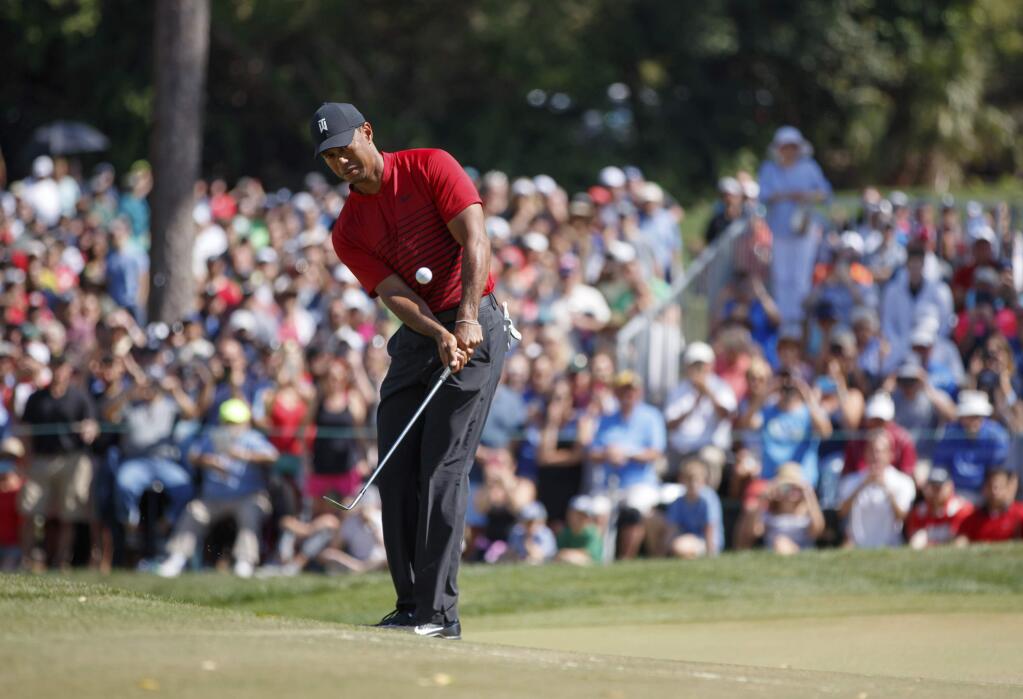 Tiger Woods chips on the fourth green during the final round of the Valspar Championship golf tournament Sunday, March 11, 2018, in Palm Harbor, Fla. (AP Photo/Mike Carlson)