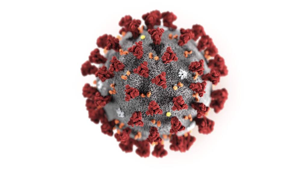 This illustration provided by the Centers for Disease Control and Prevention in January 2020 shows the 2019 Novel Coronavirus (2019-nCoV). This virus was identified as the cause of an outbreak of respiratory illness first detected in Wuhan, China. (Centers for Disease Control and Prevention via AP)