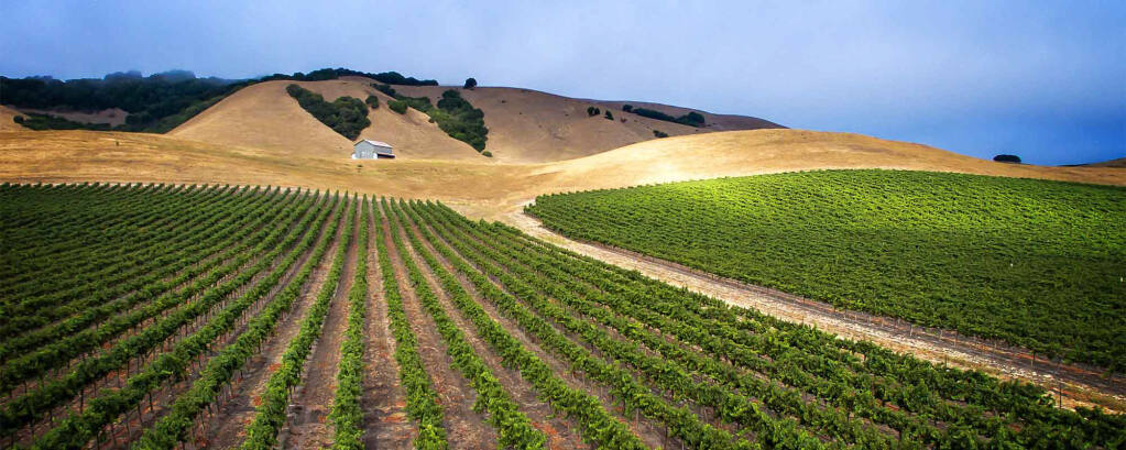 Royal Wine Co., maker of Kedem and Herzog wines, acquired Sonoma-Loeb Winery in Alexander Valley. (Courtesy: Sonoma-Loeb)